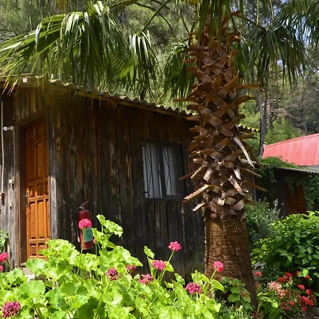 Kwatera prywatna Mercan