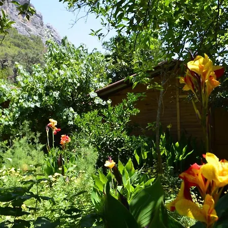 Kwatera prywatna Mercan Olympos